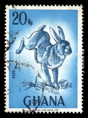 rabbit vintage postage stamp