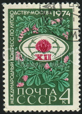 postage stamp