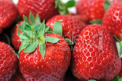 strawberries with stem