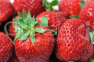 strawberries with stem