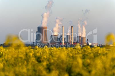 Kraftwerk und Rapsfeld in der Abendsonne