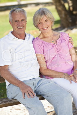 Happy Senior Couple Smiling Outside in Sunshine