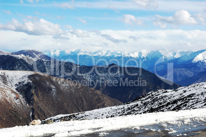 Landscape in winter