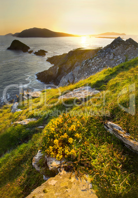 natural irish coast