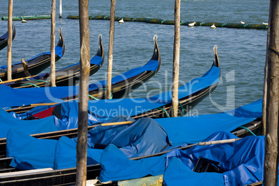 venice boats in harbor