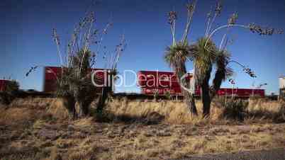 (1253) Speeding train at crossing with shipping boxcars in desert cactus scene
