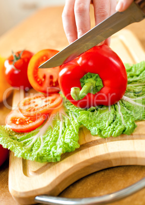 Woman's hands cutting vegetables