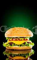 Tasty and appetizing hamburger on a darkly green