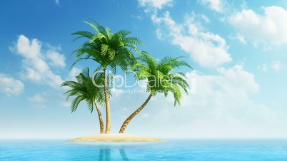 Growing palm trees on island at sea