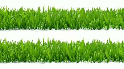 Growing grass with alpha channel