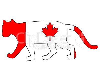 Puma Kanada