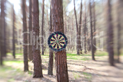 Darts boards on the tree in forest