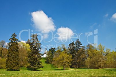 Landschaft mit Bäumen