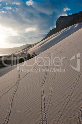 Sand dunes of Archer, Socotra island, Yemen