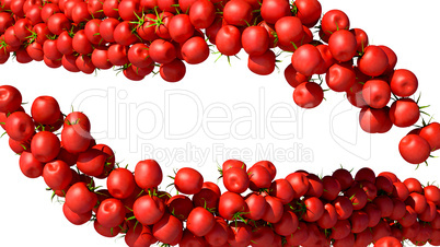 Two Tomatoes Cherry flows isolated