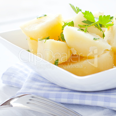 frische Kartoffeln mit Petersilie / fresh potatoes with parsley
