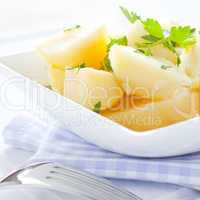 frische Kartoffeln mit Petersilie / fresh potatoes with parsley