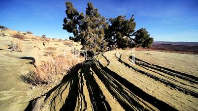 National Park in the American West