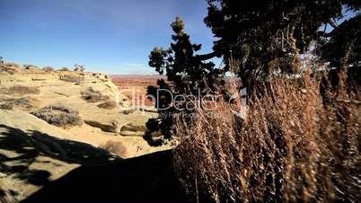 Panorama of a National Park