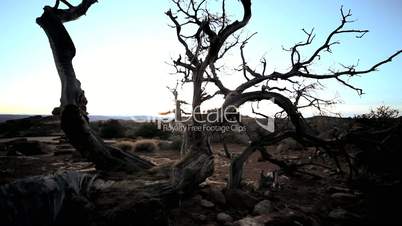 Dusk Over a Desert Landscape