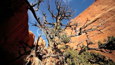 Arid Landscape of American Southwest