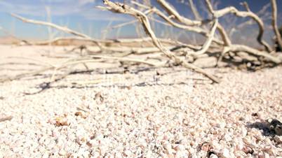 Dried Up Lake Bed