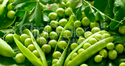 Green peas in the pod