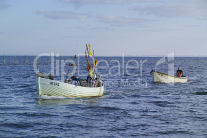 Fischerboote Dänemark