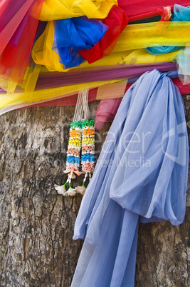 Bodhi tree