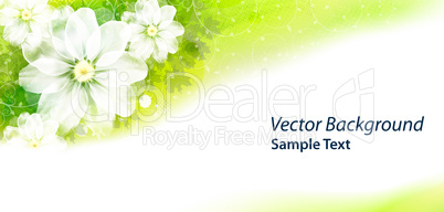 Flowervector background