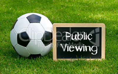 public viewing - fußball - soccer