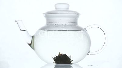 TL Green Chinese flower tea