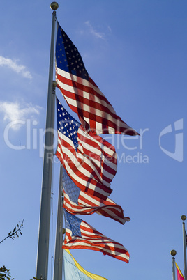 Flagge USA Sternenbanner