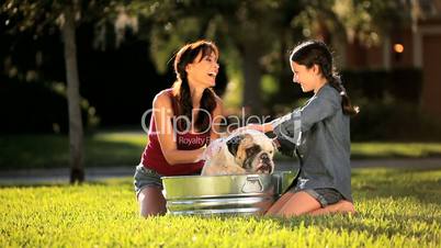 Mom & Daughter Bathing Family Bulldog