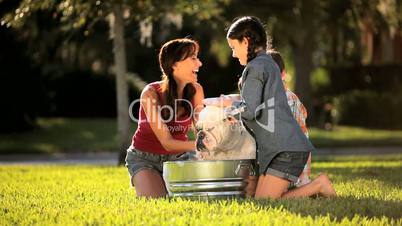 Pet Bulldog Grooming by Caucasian Family