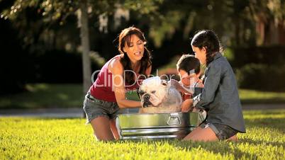 Young Family Bathing Pet Bulldog