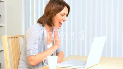Attractive Young Female at Home Using Laptop