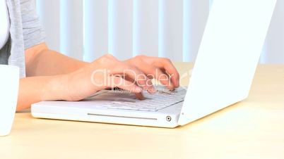 Female Hands on Laptop Keyboard