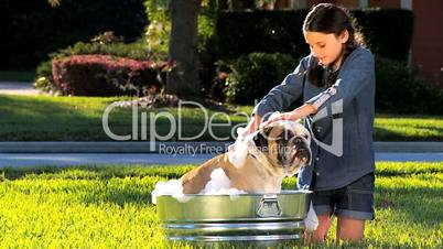 Young Girl Bathing Family Bulldog