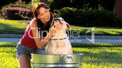 Caucasian Female Bathing Her Pet Bulldog