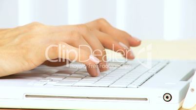 Female Hands Using Laptop Keyboard