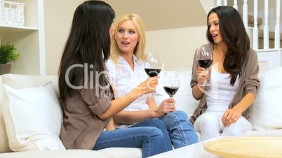 Young Girlfriends at Home Drinking Wine