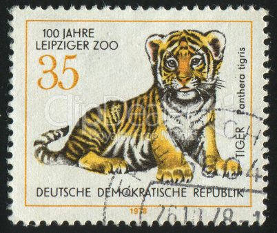 postage stamp