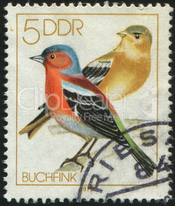 postage stamp