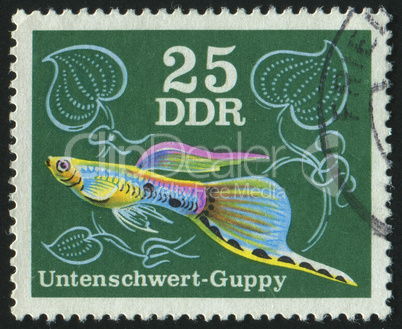 postage stamp