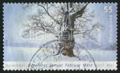 postage stamp