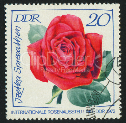 postage stamp