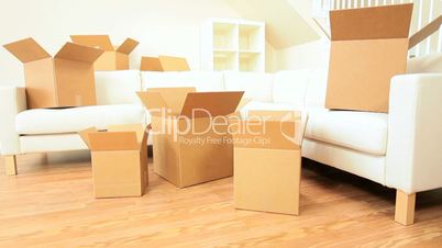 Moving Home Cardboard Cartons