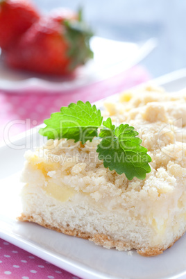 frischer Apfel Streusel Kuchen / fresh crumb cake