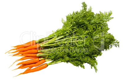 Fresh carrot fruits with green leaves.